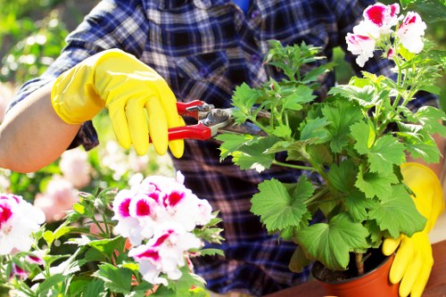 Gardening terms and conditions introduction with service overview