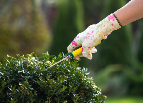 A Gardener in Walworth supporting tidy and healthy outdoor areas