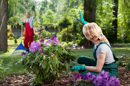Gardeners Walworth team working with safety awareness in a garden