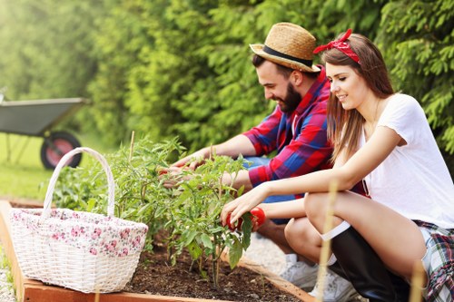 Zero tolerance policy and ethical sourcing for Walworth gardeners