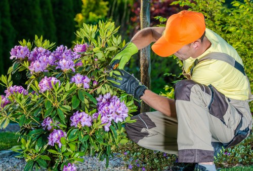 Professional gardener maintaining a Walworth garden border