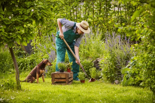 Transparent Gardeners Walworth pricing for mixed property styles and garden sizes