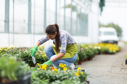 Image symbolising inclusive access for Gardeners Walworth users