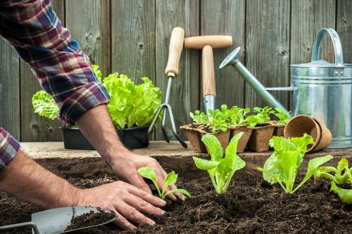 Gardeners in Walworth improving a residential garden