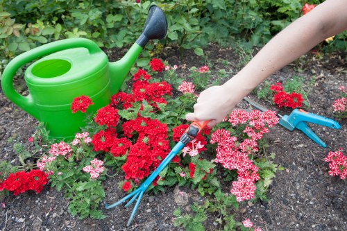 Landscape gardening in Walworth with a stylish planted urban garden