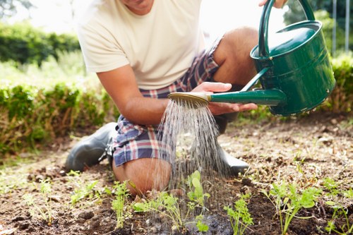 Gardeners Walworth caring for a well-kept garden in Walworth