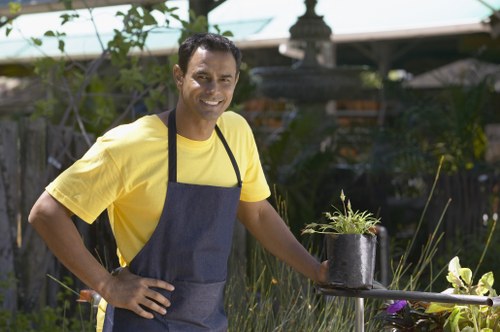 Seasonal garden care and planting in a Walworth garden