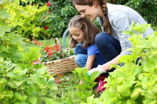 Garden design and planting ideas for landscaping in Walworth