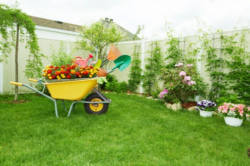 Hedge trimming in Walworth with a neatly shaped garden hedge