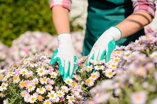 Gardeners Walworth online payment methods including card and PayPal options