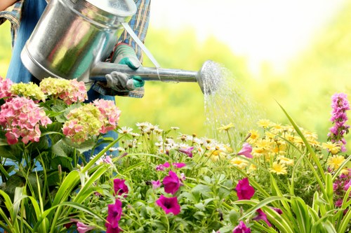 Professional garden clearance in Walworth restoring a tidy outdoor space