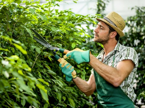 Lawn care equipment and turf maintenance in Walworth