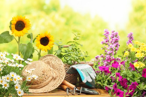 Professional garden maintenance in Walworth