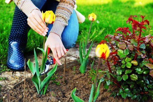 Local gardening services improving a Walworth property