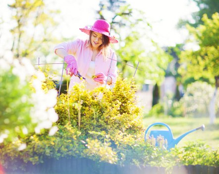 Service improvement through gardening feedback