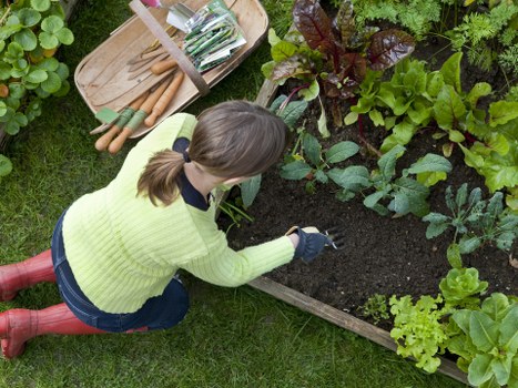 Worker pausing to assess a potentially unsafe garden area