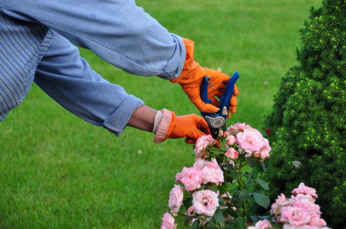 Tidy lawn maintenance on a suburban Walworth property