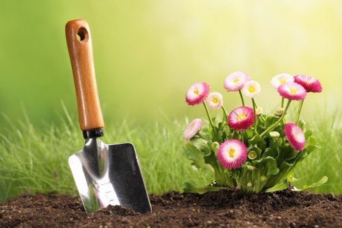 Free quote planning for a busy Walworth front garden maintenance job