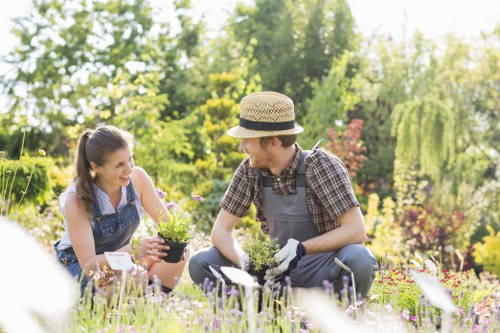 Gardeners Walworth shaping and maintaining seasonal planting