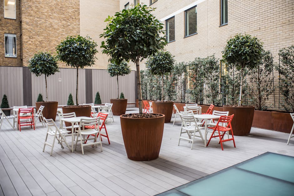 A modern family terrace garden featuring a light-colored wooden deck with several large, round terracotta pots containing small, well-maintained trees with lush green foliage. Surrounding the trees ar